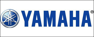 ヤマハカートエンジンKT100の販売